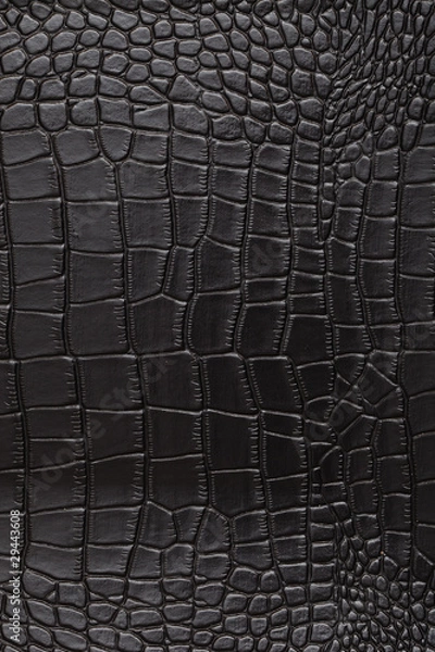 Obraz skin coccodrillo