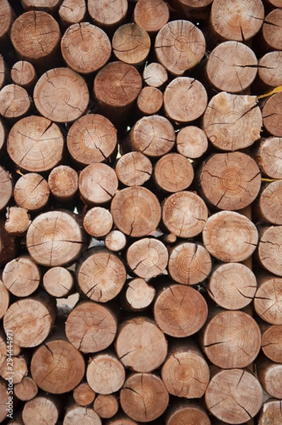 Obraz Pile of wood logs stumps for winter