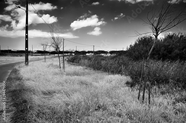 Fototapeta Black and white landscape