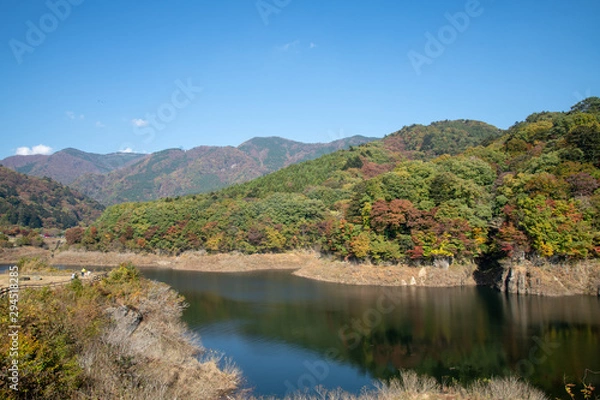 Fototapeta もみじ谷大吊橋