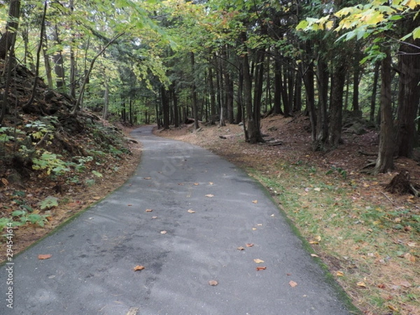 Fototapeta automne dans la région de Québec
