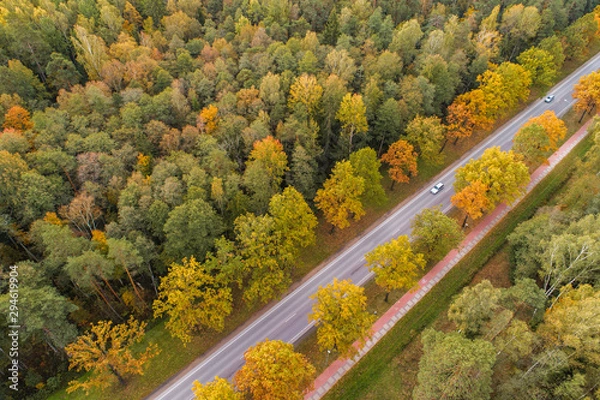 Fototapeta Aerial view of thick forest in autumn with road cutting through in Jelgava region , Latvia
