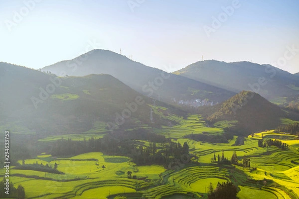 Fototapeta Rapeseed flowers at Snail farm Luositian Field in Luoping County, China
