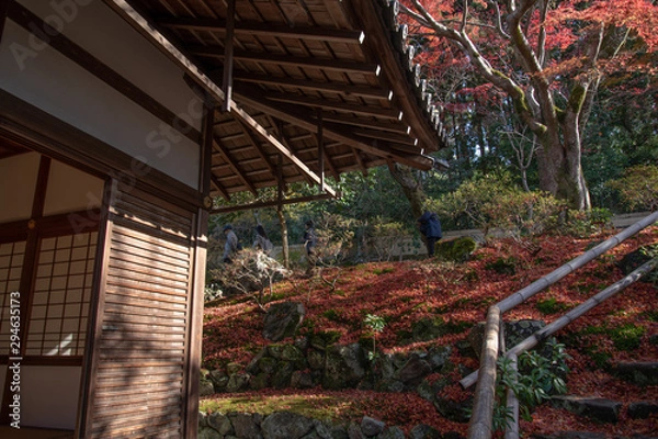 Fototapeta 霊鑑寺