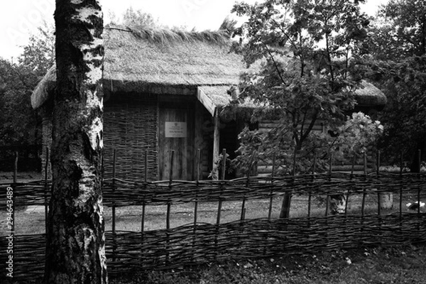 Obraz old house in the forest