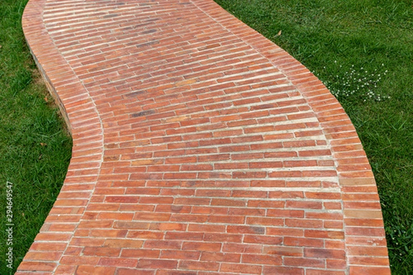 Obraz Stone pathway with grass