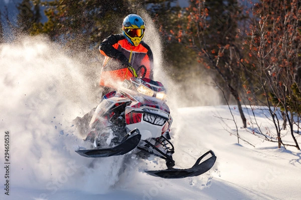 Obraz the guy is flying and jumping on a snowmobile on a background of winter forest  leaving a trail of splashes of white snow. bright snowmobile and suit without brands. extra high quality