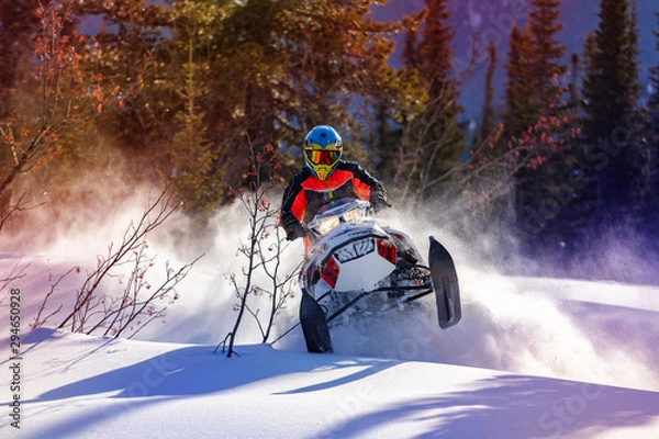 Obraz the guy is flying and jumping on a snowmobile on a background of winter forest  leaving a trail of splashes of white snow. bright snowmobile and suit without brands. extra high quality