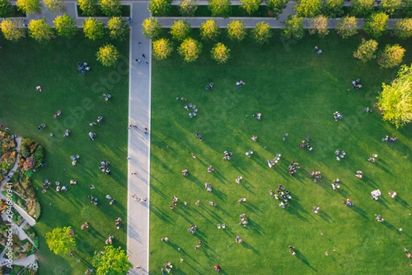 Obraz Top view of the many people are resting on the lawn in the park