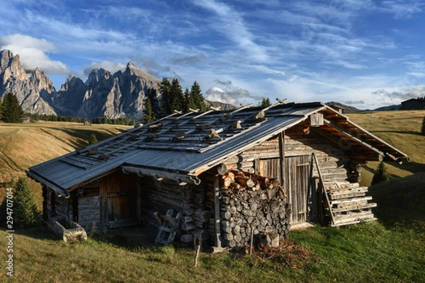 Fototapeta Old hut with stacked wood in Alpe di Siusi - Seiser Alm