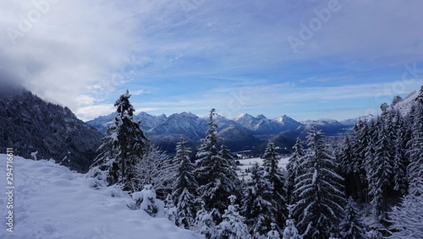 Obraz Wald im Winter