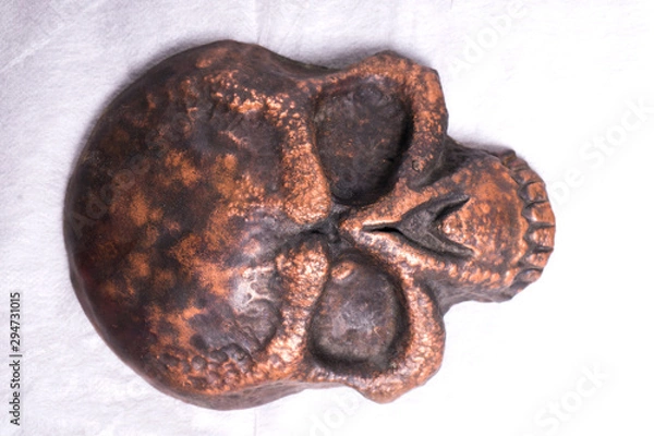 Fototapeta copper skull on white background