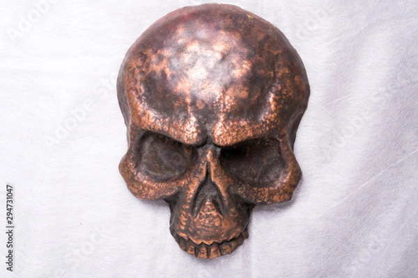 Fototapeta copper skull