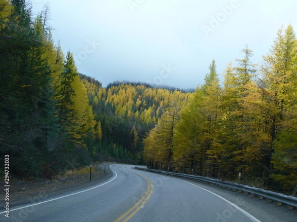 Fototapeta Sunday Drive through light and shadow Mountain Forest be with you Autumn Splendor of Gold, Green, yellow. mist in fir, pines, tamarack trees. Guard rail  between the traces. double line, notch