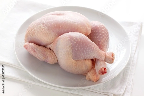 Obraz chicken