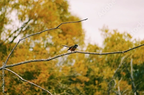 Obraz Processed with VSCO with c1 preset