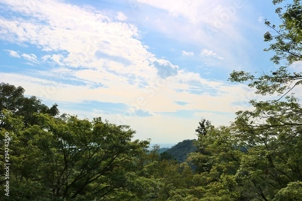 Obraz 空　秋　田舎　風景　杤木