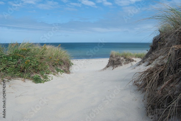 Obraz Cape Cod Dune