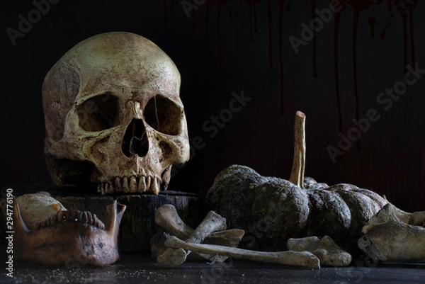 Obraz Old skull with pile of bone and rotten pumpkin on dark background and dark wall which has blood stains