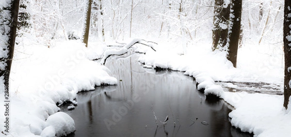 Fototapeta a winter wonderland covered with snow and ice and the relfection of the water in park 