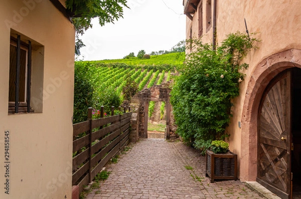Obraz Riquewihr in Alsace, France. Enchanting medieval village, along the wine road that connects Colmar to Strasbourg. View of the vineyards from the old village within the walls.