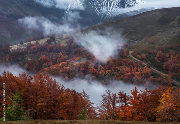 Fototapeta Yellow autumn forest at the foot of the mountains covered with the first snow. Late autumn landscape.