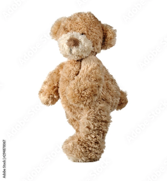 Obraz A Cute small Teddy bear isolated on white background 