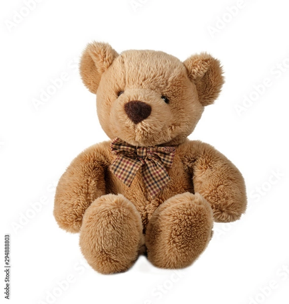 Obraz teddy bear isolated on white background