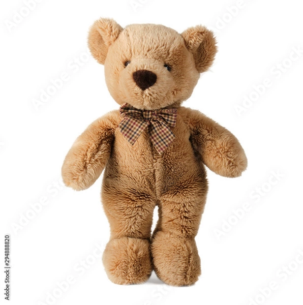 Obraz teddy bear isolated on white background