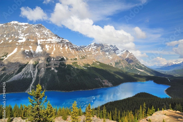 Obraz Peyto Lake