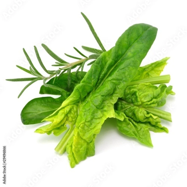 Obraz Spinat, Rosmarin