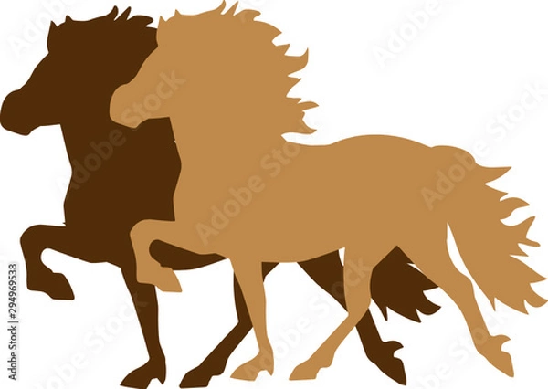 Obraz Icelandic Horse