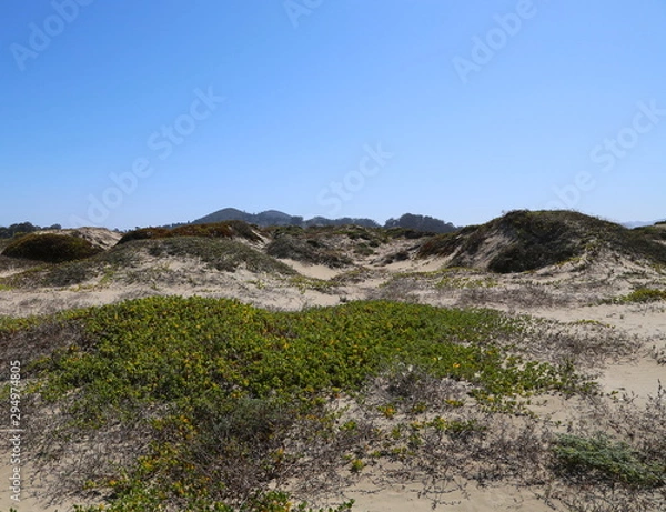 Obraz Morro Rock from Morro Bay Island