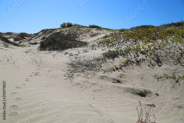 Obraz Morro Rock from Morro Bay Island
