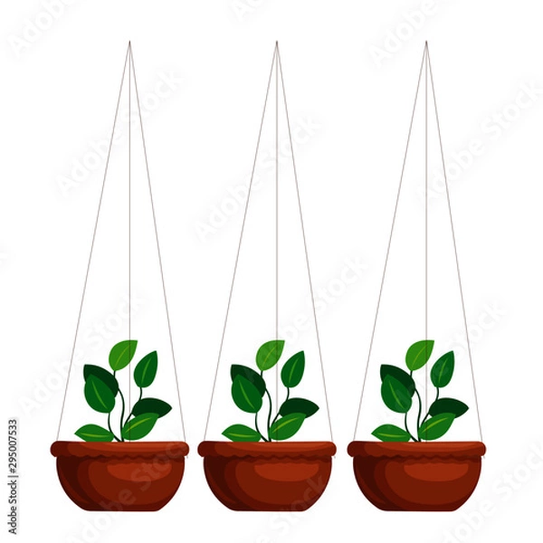 Obraz Hanging Pots With Plants - Cartoon Vector Image