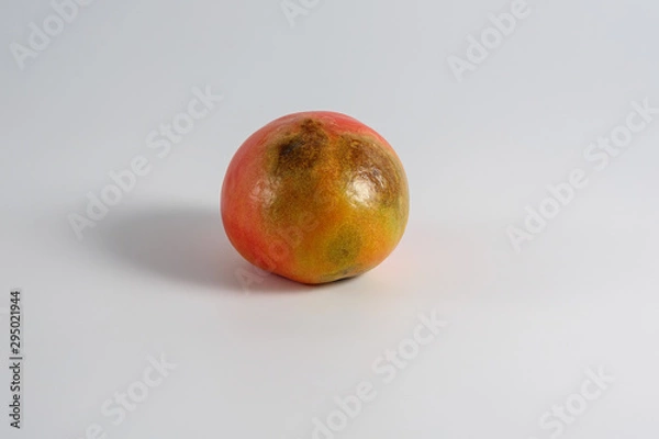 Fototapeta There is a sick infected Phytophthora medium-sized round red tomato grown in the garden. Object-red tomato, having spots on the surface is on a light background, has a shadow. Phytophthora