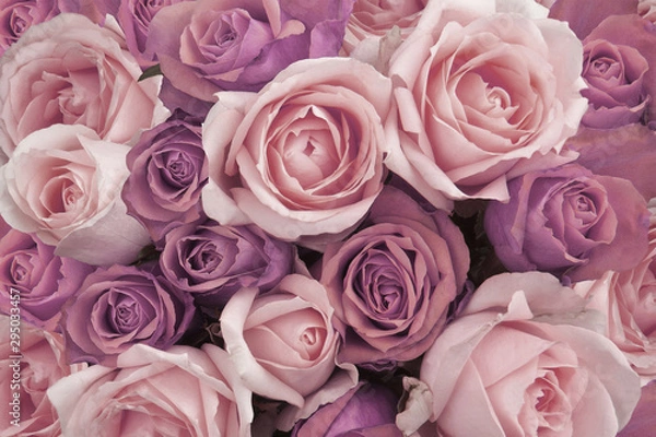 Obraz Background of Pink Vintage Roses