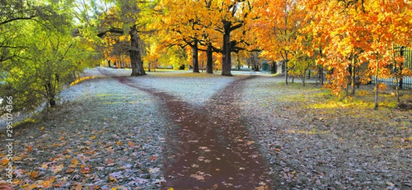 Obraz Wet trail in park splits into two tracks late fall