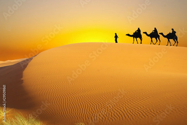 Obraz Travel with camel