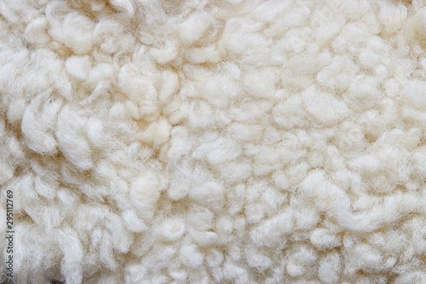 Obraz Białe tło z miękkiej wełny, dywan z naturalnej owczej skóry.