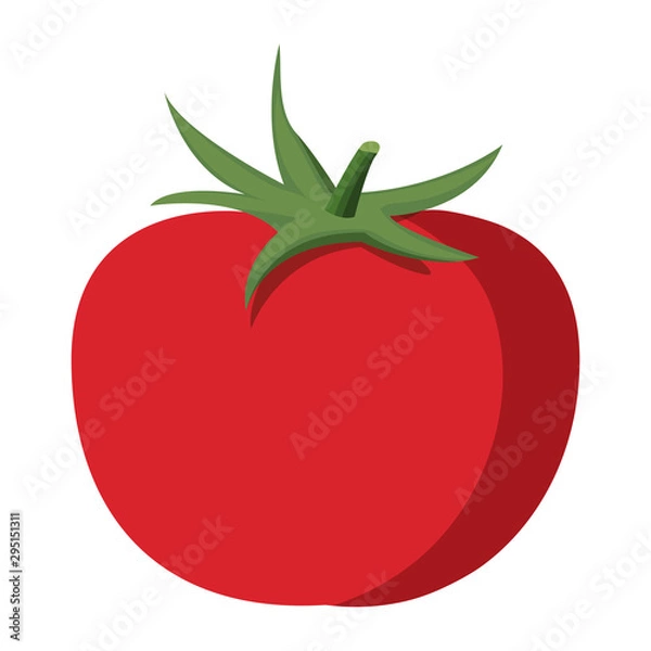 Fototapeta tomato vegetable icon image design