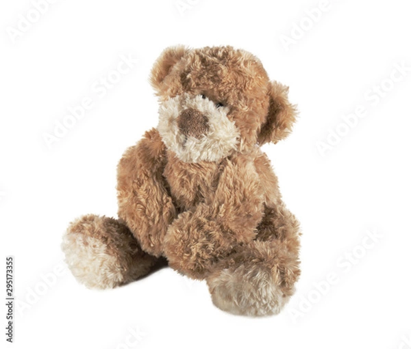 Obraz teddy bear isolated on white background