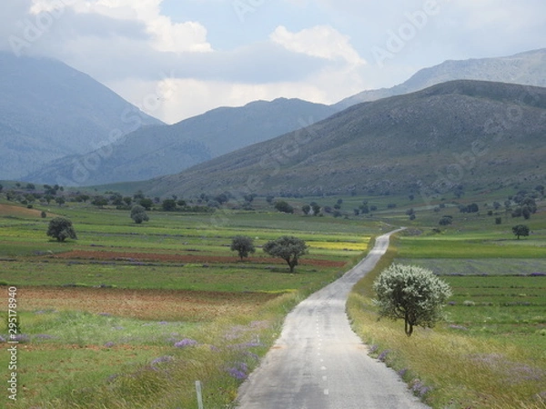 Obraz road in the mountains