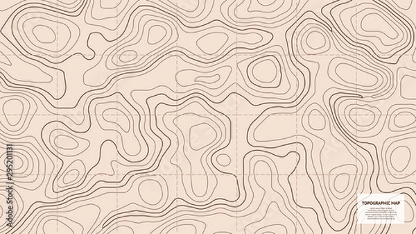 Fototapeta Topographic world map. Vector for your design