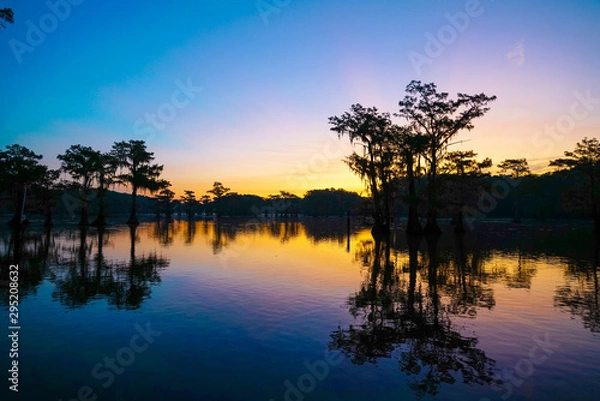 Obraz Colorful view during dawn at Caddo Lake near Uncertain, TX
