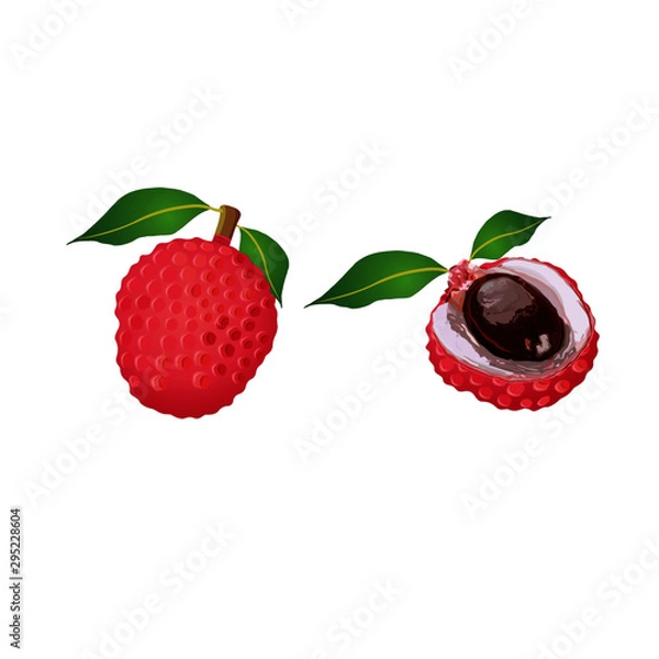 Fototapeta Litchi Fruit Whole and Half with Seed - Vector Image