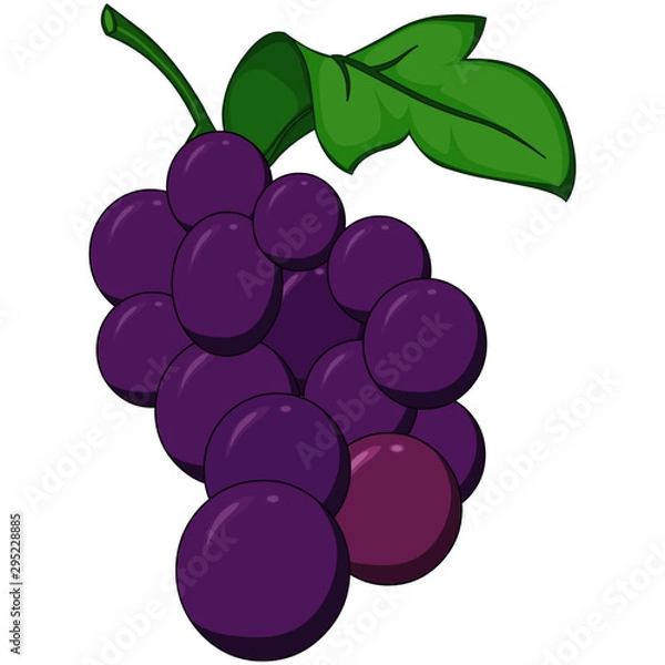 Obraz Purple Grapes - Cartoon Vector Image