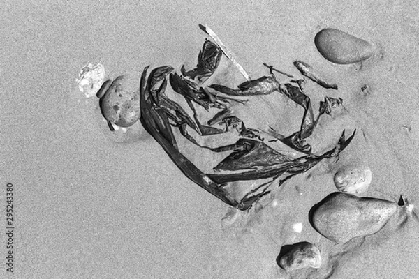 Obraz Plastikmüll am Strand