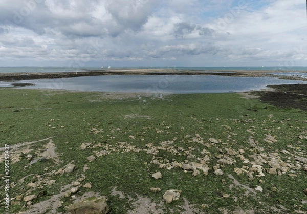 Obraz Plage ile d'Aix
