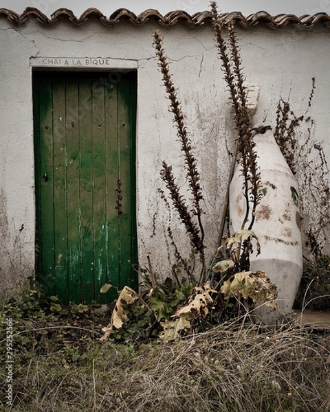 Obraz Porte Ile d'Aix